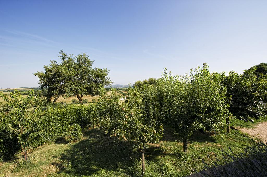 Agriturismo I Roseti Montepulciano Stazione Rum bild