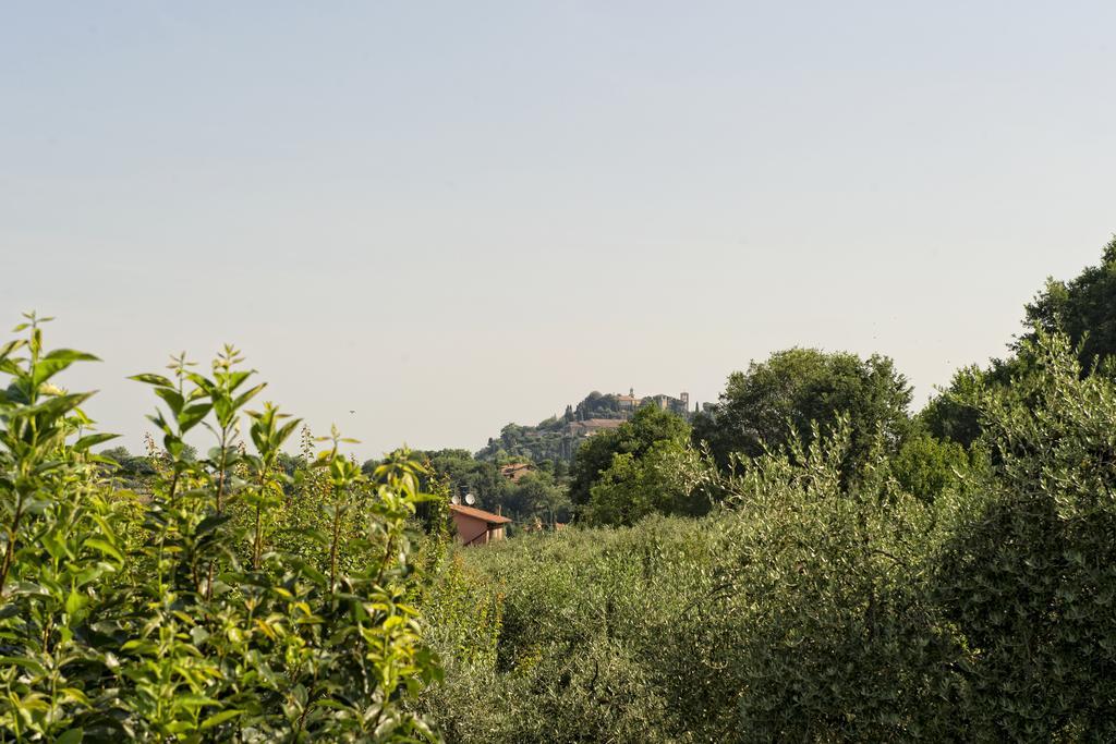 Agriturismo I Roseti Villa Montepulciano Stazione Rum bild